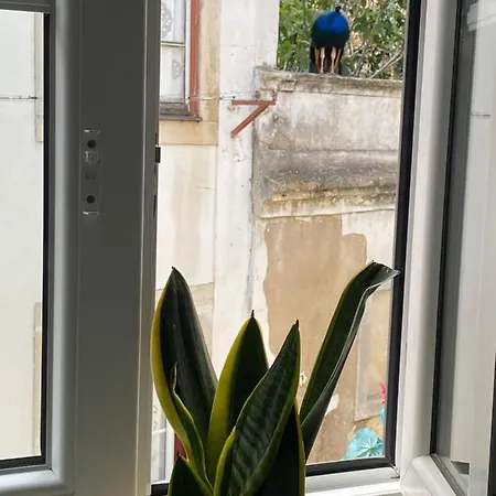 Castle Appartement