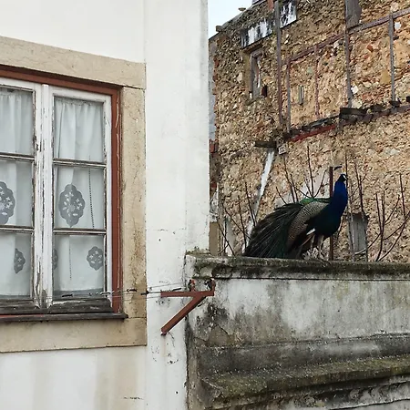 Castle Apartmán Lisboa