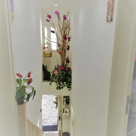 Appartement Castle