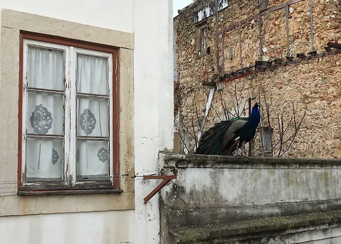 Castle Apartmán Lisboa